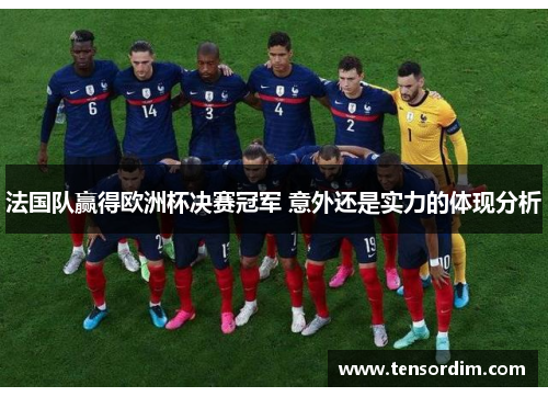 法国队赢得欧洲杯决赛冠军 意外还是实力的体现分析