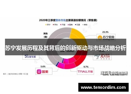 苏宁发展历程及其背后的创新驱动与市场战略分析