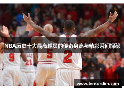 NBA历史十大最高球员的传奇身高与精彩瞬间探秘