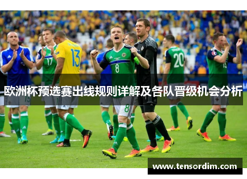 欧洲杯预选赛出线规则详解及各队晋级机会分析