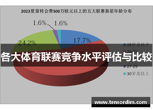 各大体育联赛竞争水平评估与比较