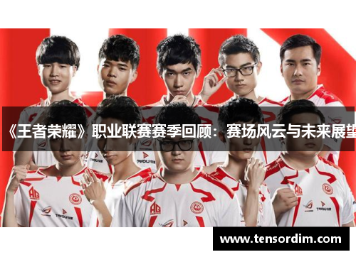 《王者荣耀》职业联赛赛季回顾：赛场风云与未来展望