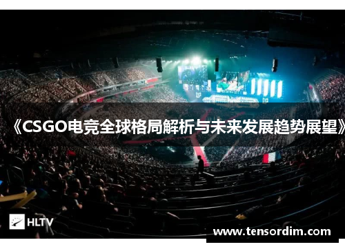 《CSGO电竞全球格局解析与未来发展趋势展望》