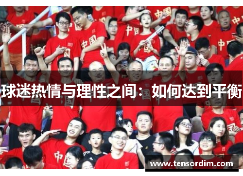 球迷热情与理性之间：如何达到平衡