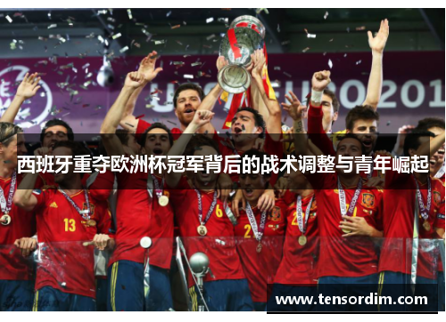 西班牙重夺欧洲杯冠军背后的战术调整与青年崛起