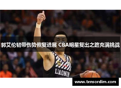 郭艾伦韧带伤势恢复进展 CBA明星复出之路充满挑战
