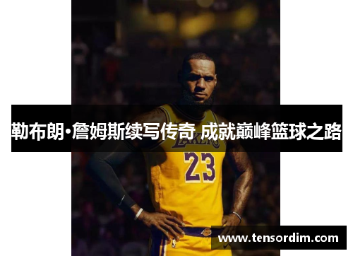 勒布朗·詹姆斯续写传奇 成就巅峰篮球之路