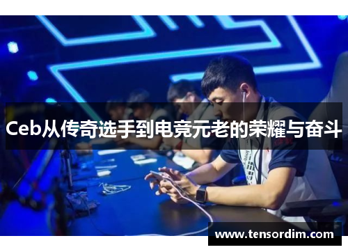 Ceb从传奇选手到电竞元老的荣耀与奋斗