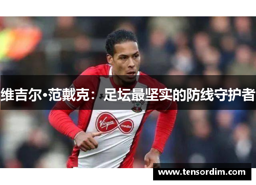 维吉尔·范戴克：足坛最坚实的防线守护者