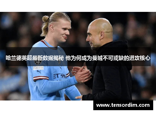 哈兰德英超最新数据揭秘 他为何成为曼城不可或缺的进攻核心