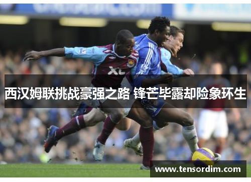 西汉姆联挑战豪强之路 锋芒毕露却险象环生